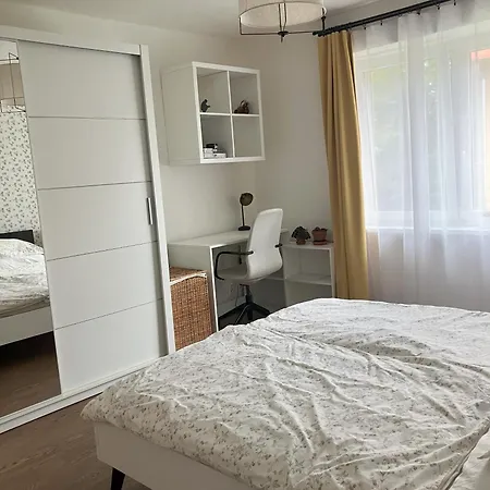 Do Lesa - Into The Woods Vysoké Tatry