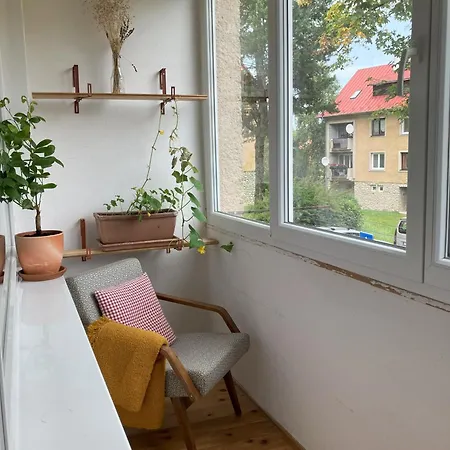 Do Lesa - Into The Woods Vysoké Tatry