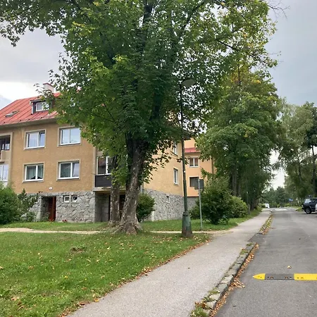 Do Lesa - Into The Woods Daire *